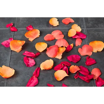 Dry Rose Petals 